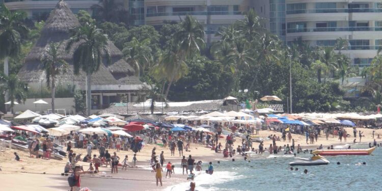 Piden guías de turistas conocer la logística de la llegada de los cruceros