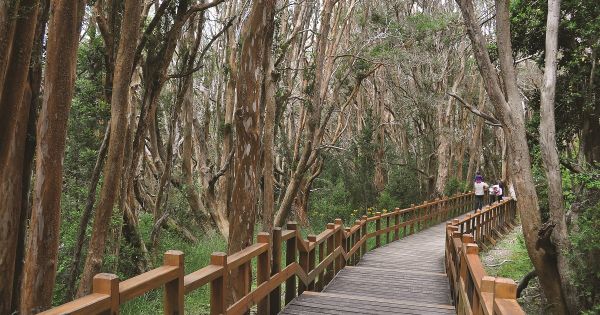 Previaje y escapadas fuera de temporada: el turismo se recupera de la pandemia y se prepara para el verano