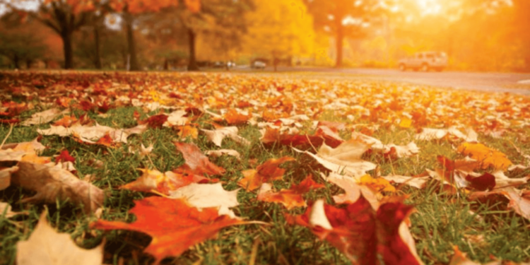 Pueblos de la provincia para disfrutar este otoño