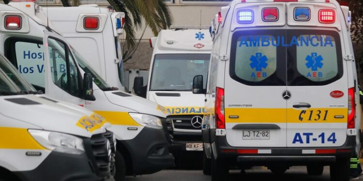 Reportan muerte de dos comuneros mapuches en Cañete