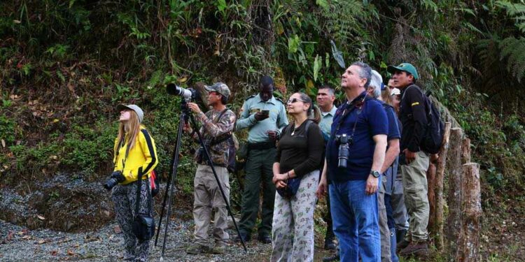 Risaralda el ‘rey’ en la ocupación hotelera del Eje Cafetero