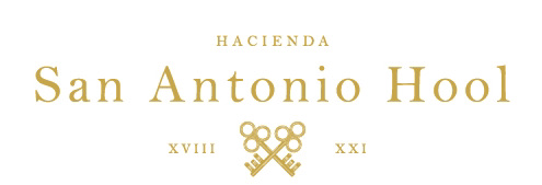 La Hacienda San Antonio Hool es considerada una de las haciendas más exclusivas e “instagrameables” de la región