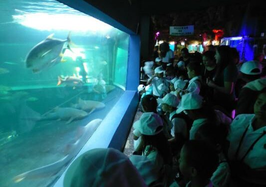 Ve Sectur federal al Nuevo Acuario Mazatlán como proyecto ‘ancla’ para elevar inversión turística en México