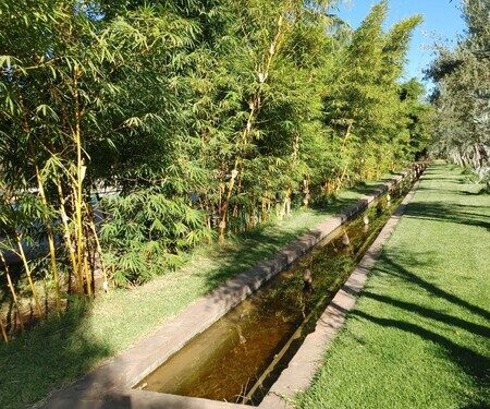 Le Bled