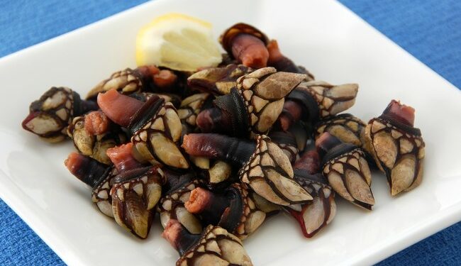 cinco lugares para comer marisco en España (además de Galicia, claro)