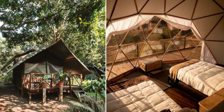 mucho bosque, relax y comodidad – El Financiero