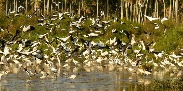 ¿Es posible un turismo sostenible en Paraguay? - Viajes