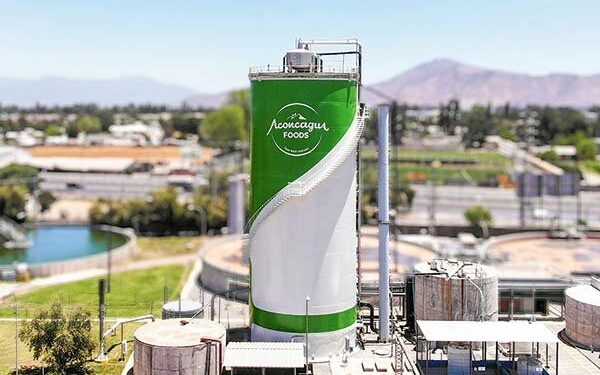 Aconcagua Foods busca casi duplicar su base laboral para temporada de producción de duraznos 2022