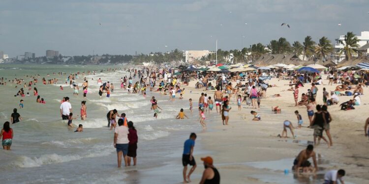 El presidente de la AMAV, Eduardo Paniagua, comentó se han encontrado una “gran cantidad de errores y omisiones” en estas legislaciones. (Cuartoscuro)