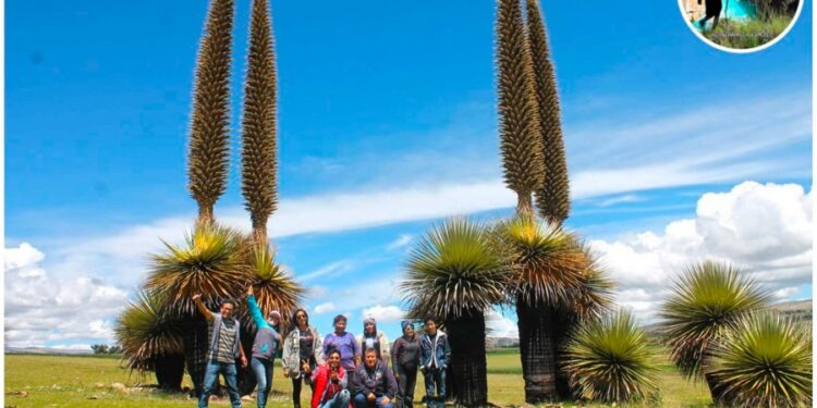 Alistan actividad para crear un turismo de calidad