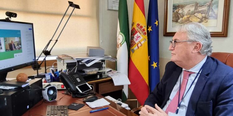 Almería confía en los atractivos de la provincia para atraer el turismo de cruceros
