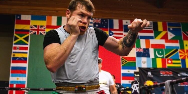 Canelo va por el título crucero ante el ganador de Makabu vs Mchunu
