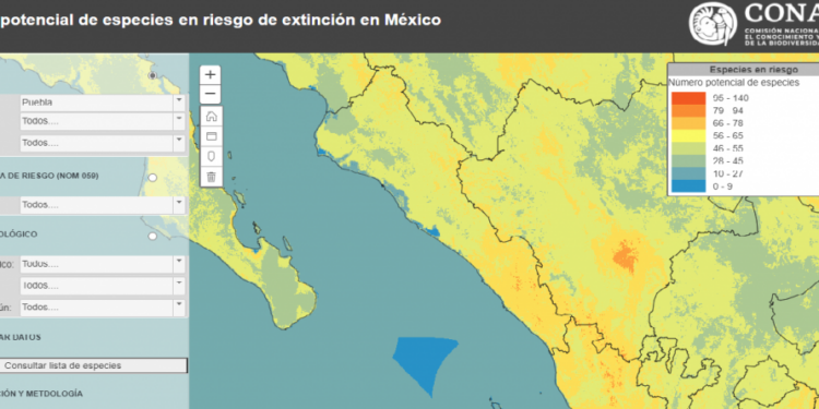 Conoce cuántas especies están en amenaza en nuestro país y en dónde