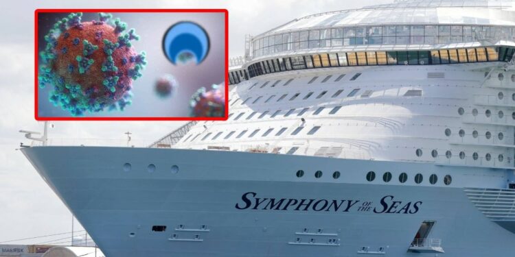 Crucero más grande del mundo vuelve al Puerto de Miami con 48 casos confirmados de Covid a bordo | Noticias de México