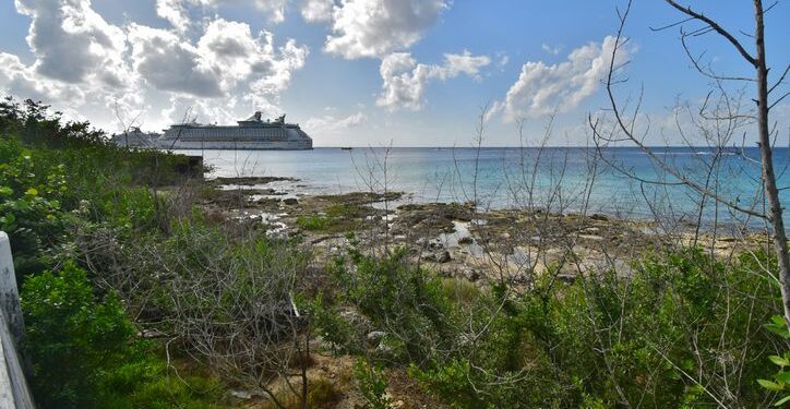 Cuarto muelle de cruceros atenta contra ecosistema de Cozumel