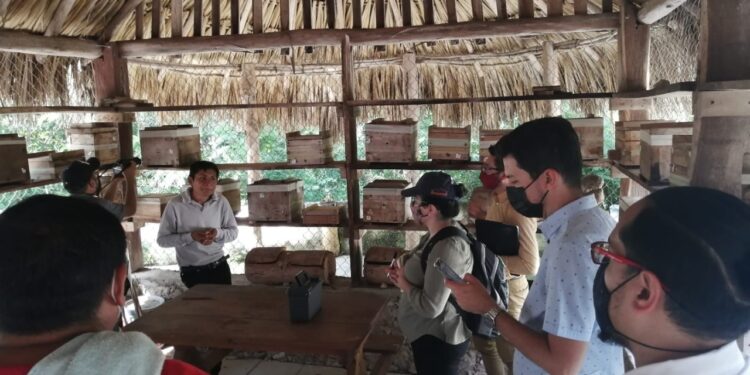 Cuidar al turismo representa más posibilidades de recuperación económica: Carlos Joaquín