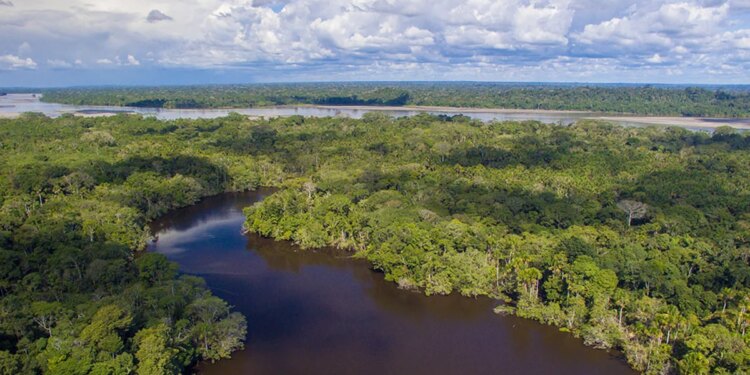 El Parque Nacional Yasuní de Ecuador es uno de los mejores destinos para viajar en el 2022 según NatGeo