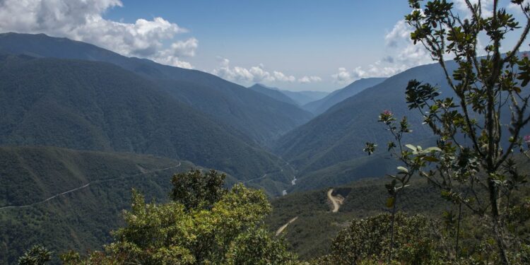 En 7% incrementaron las búsquedas sobre reservas naturales en el Perú respecto al año 2019 | Economía