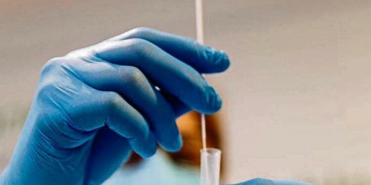 España confirma 36 casos de la variante ómicron, 19 de ellos no vinculados a viajes