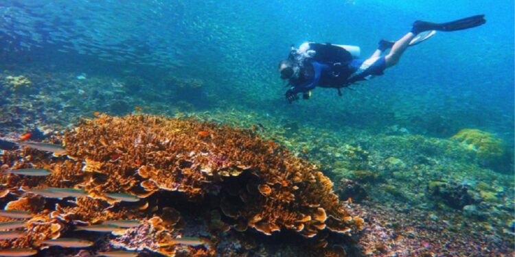 Filipinas es el mejor destino de buceo del mundo