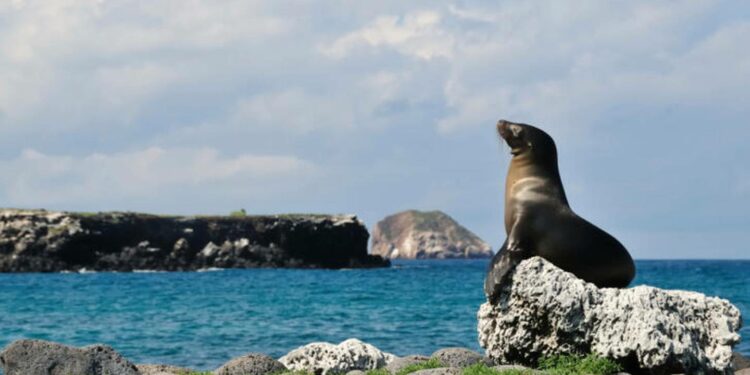Galápagos entra al top 50 de los mejores lugares del mundo para viajar en el 2022 – Metro Ecuador
