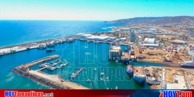 Hoy Tamaulipas - Ampliarn terminal de contenedores y cruceros en Ensenada