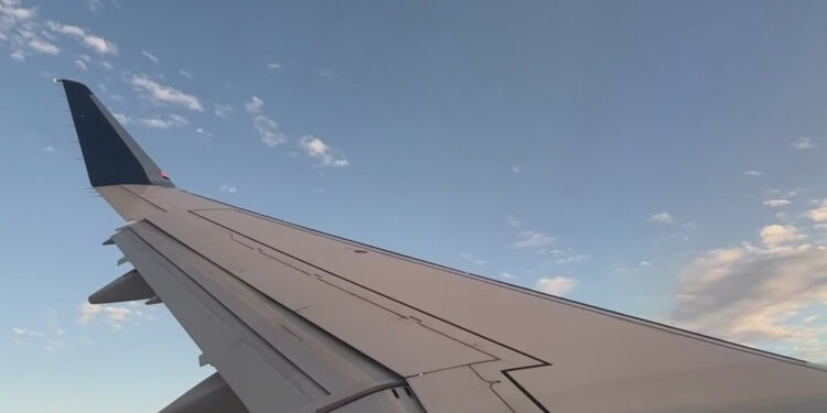Implementan nuevos lineamientos para viajes debido a la variante ómicron | Video | Univision 14 San Francisco KDTV