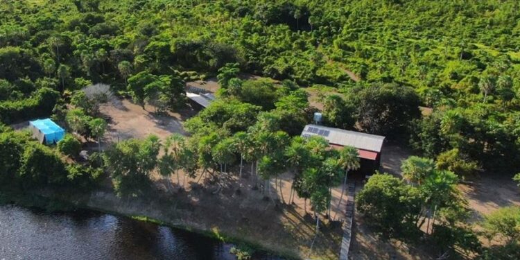 La Nación / Senatur busca reactivar el turismo en el Pantanal paraguayo