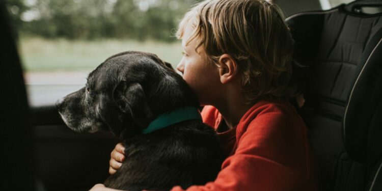 La Navidad y los viajes con tu perro: un estudio revela donde va más relajado en el coche