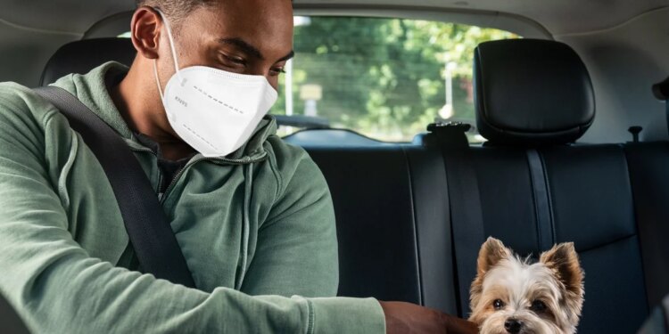 Las mascotas ya pueden viajar con Uber