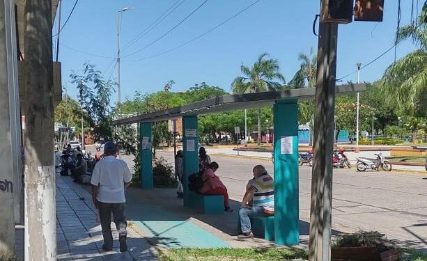 Levantaron el paro de colectivos de la empresa Crucero del Sur