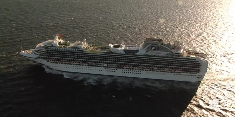 Los CDC piden evitar viajar en cruceros incluso si está completamente vacunado | Video | Univision 23 Miami WLTV