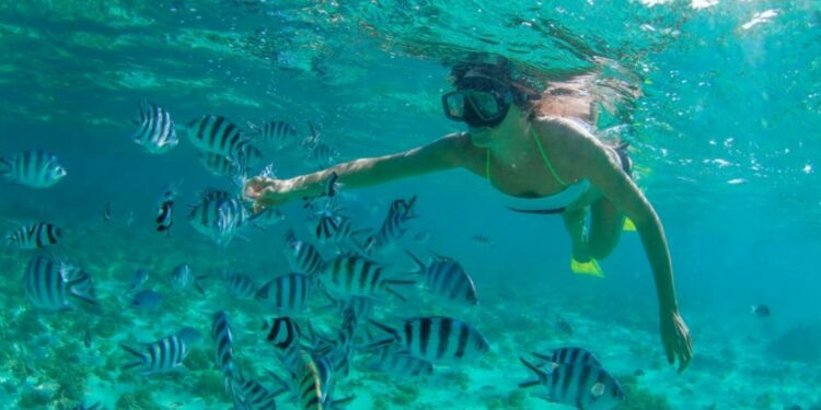 Los mejores lugares del mundo para hacer snorkel