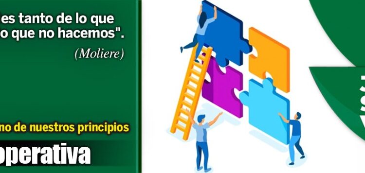 Marsia Taha, la chef que investiga la diversidad alimentaria de Bolivia - El País