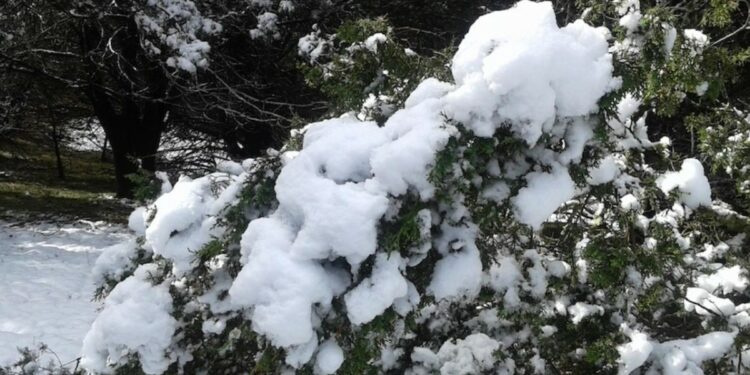 Mejores pueblos mágicos en México para disfrutar la nieve este Año Nuevo