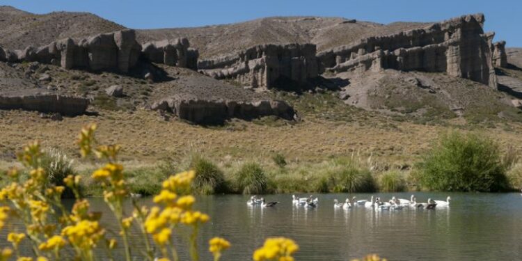 Mendoza expone sus atractivos en la Feria Internacional de Turismo