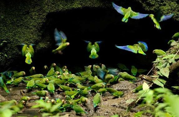 National Geographic presenta los mejores sitios para viajar | DAEMONIACA