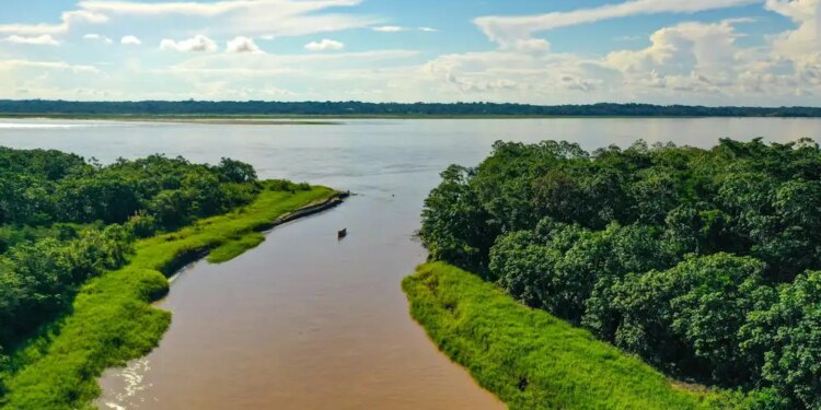 Amazonas