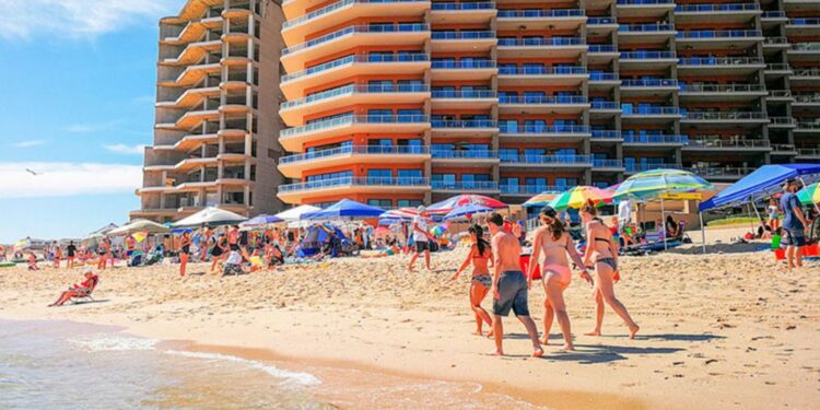 Los sujetos de apoyo de este programa son transportes turísticos de pasajeros, agencias de viajes, servicios de reserva y servicios de alojamiento legalmente constituidos.