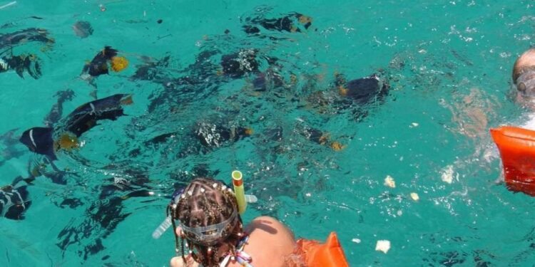 Riviera Nayarit vive su mejor momento para ser visitada