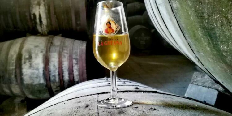 Cuando entré con el coche hacia el centro de Sanlúcar de Barrameda, lo primero que vi fueron numerosos carteles de sus bodegas donde se produce esa variedad del Marco del Jerez llamada manzanilla. Y es que la manzanilla tiene su cuna en Sanlúcar. Ese vino blanco y seco, elaborado con uva de la clase palomino y envejecido bajo una capa de levaduras llamada 'velo de flor', es una de las razones por las que se le ha concedido a este municipio gaditano la capitalidad gastronómica nacional para el 2022.