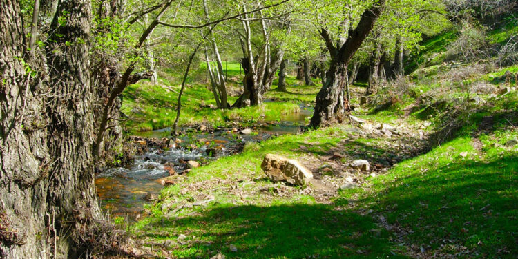 Una provincia por descubrir. Ciudad Real sorprende