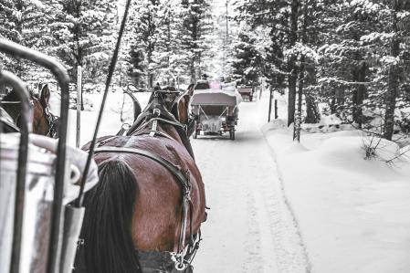 carlton st moritz