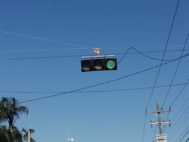 Fallan semáforos en diferentes cruceros