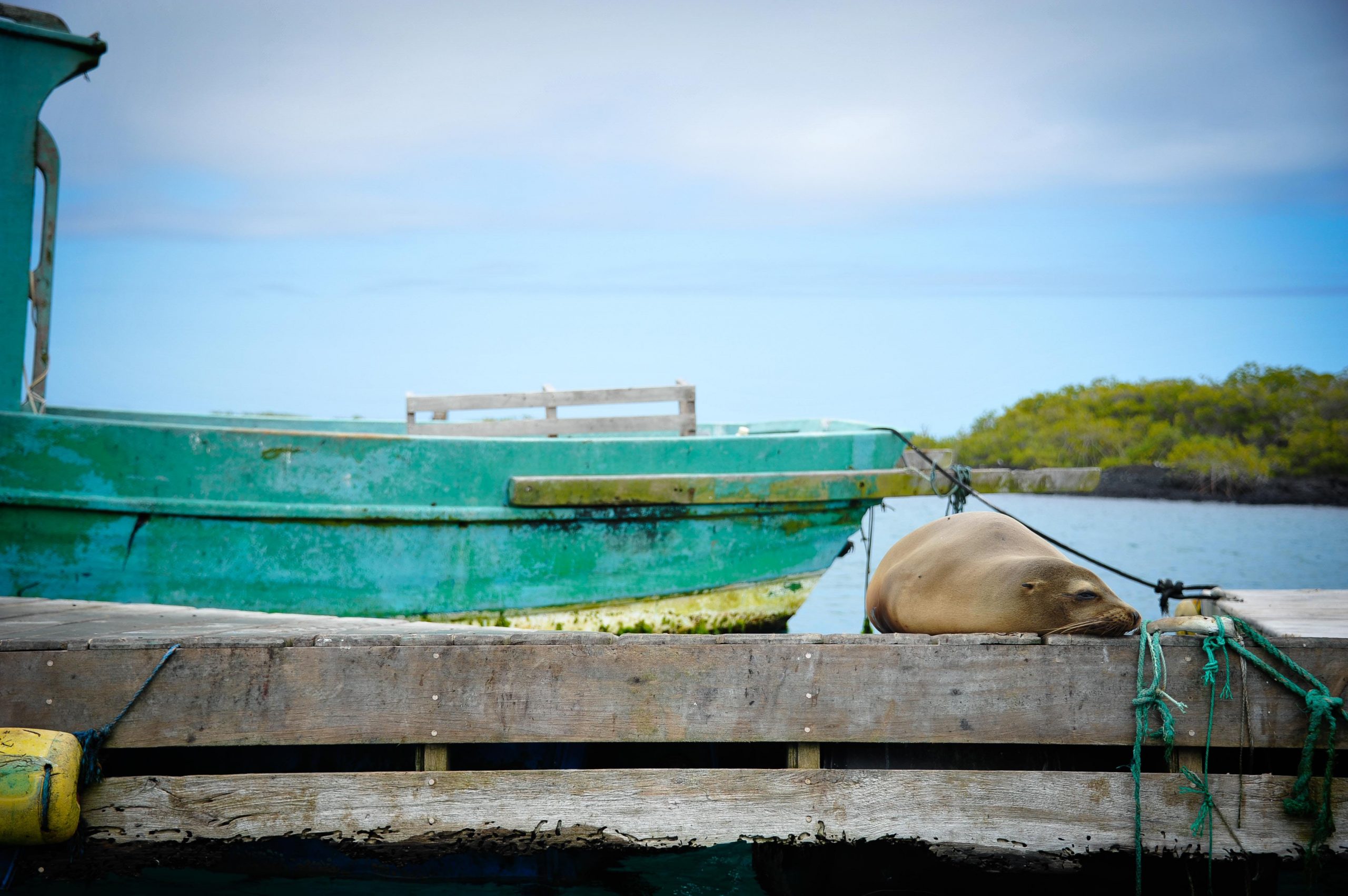 Galápagos / Unsplash