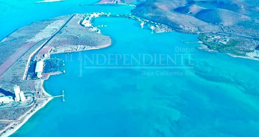 Para eludir amparo, Semarnat amplía consulta pública al Muelle para Megacruceros de Pichilingue Para eludir amparo, Semarnat amplía consulta pública al Muelle para Megacruceros de Pichilingue
