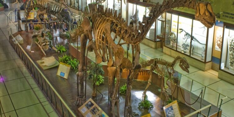 7 escapadas por Buenos Aires y alrededores para disfrutar el finde