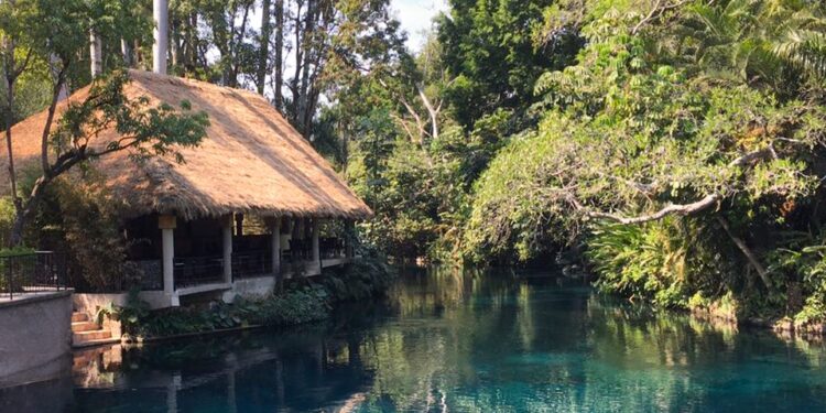 8 sitios donde practicar ecoturismo cerca de la CDMX