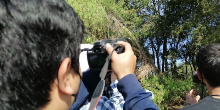 A contar aves en San Ignacio