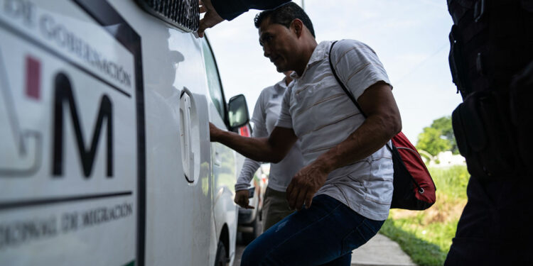 Migrantes 11